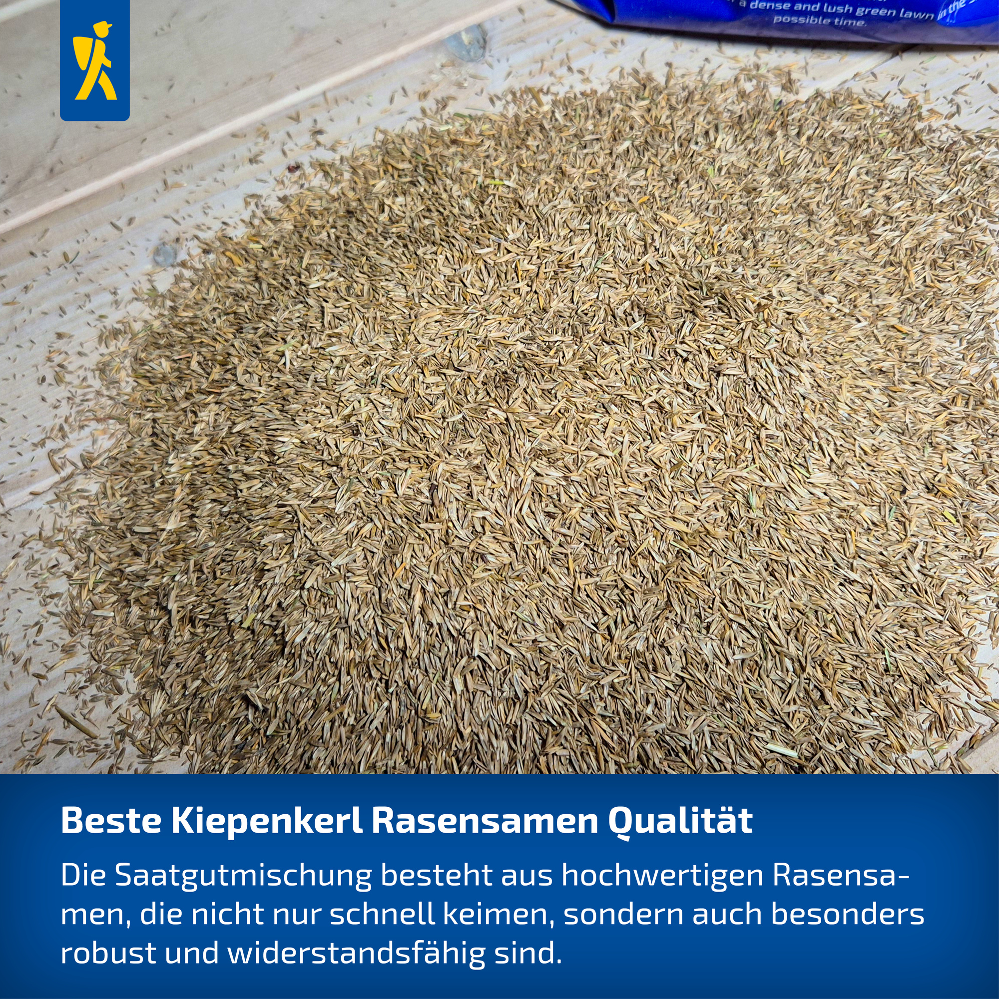 Kiepenkerl Rasen Nachsaat-Booster, 0,8 kg