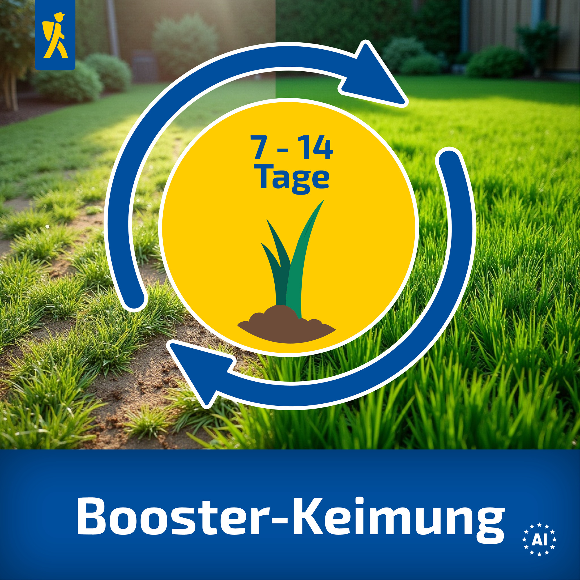 Kiepenkerl Rasen Nachsaat-Booster, 0,8 kg