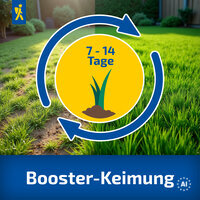 Kiepenkerl Rasen Nachsaat-Booster, 0,8 kg