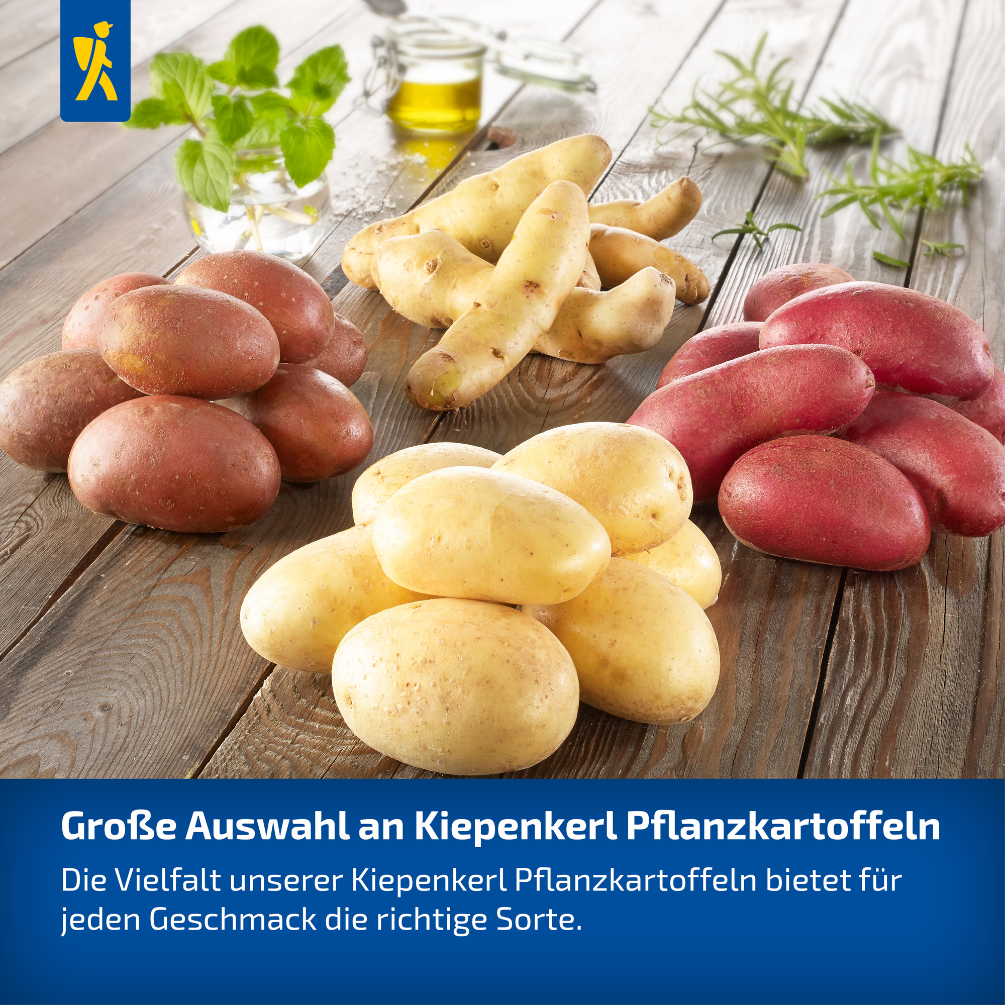 künstliche balkonpflanzen im kasten Künstlicher Blumenkasten Herbst/Winter main image 0