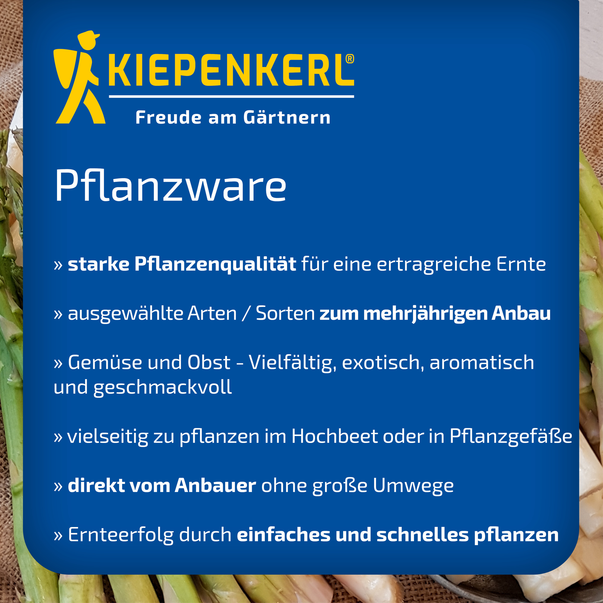 Kiepenkerl Pflanzware mit buntem Gemüse und Obst auf einem Marktstand.