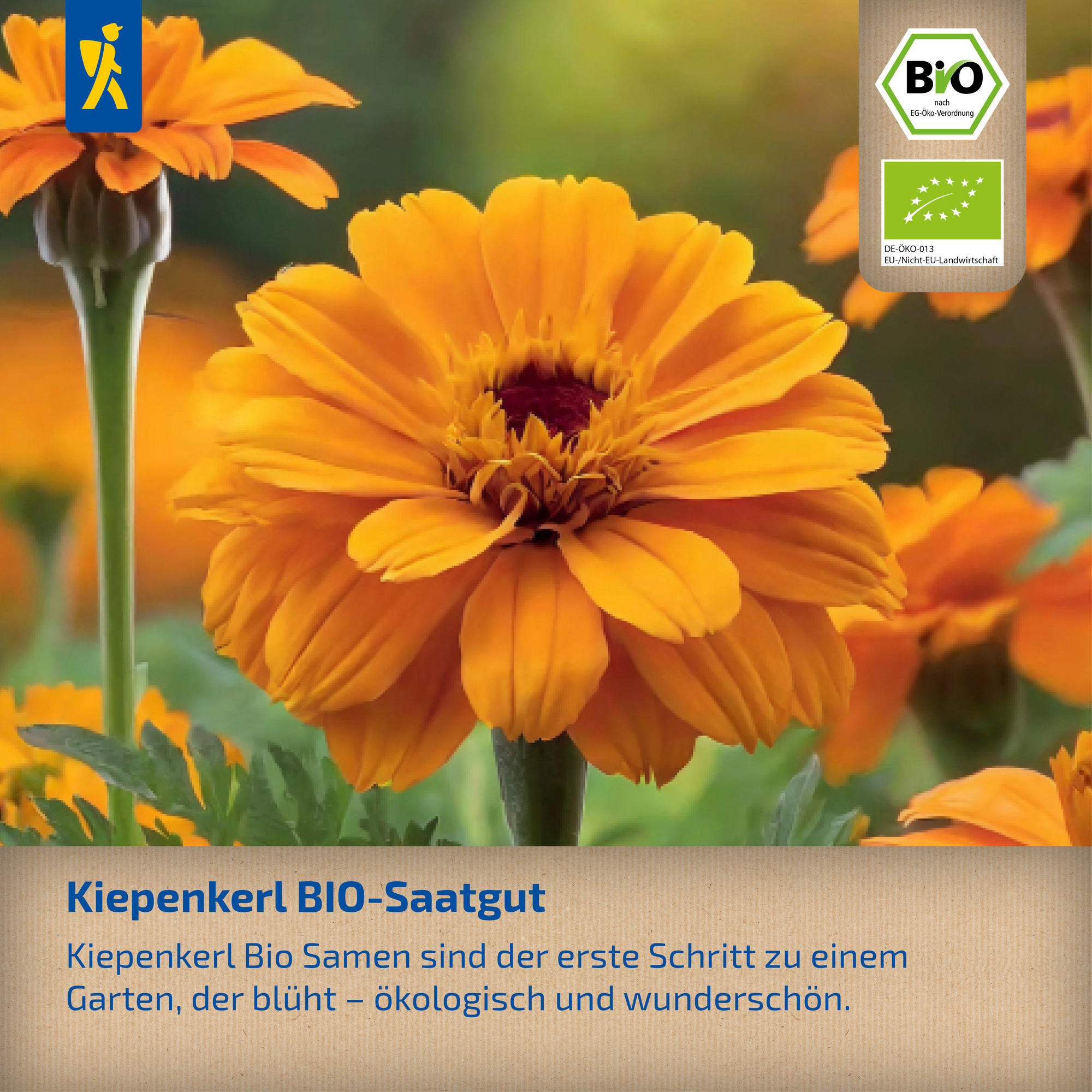 BIO-Gemse & -Krutersamen Themenstnder Kiepenkerl | B2B Onlineshop