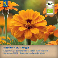 BIO-Gemse & -Krutersamen Themenstnder Kiepenkerl | B2B Onlineshop