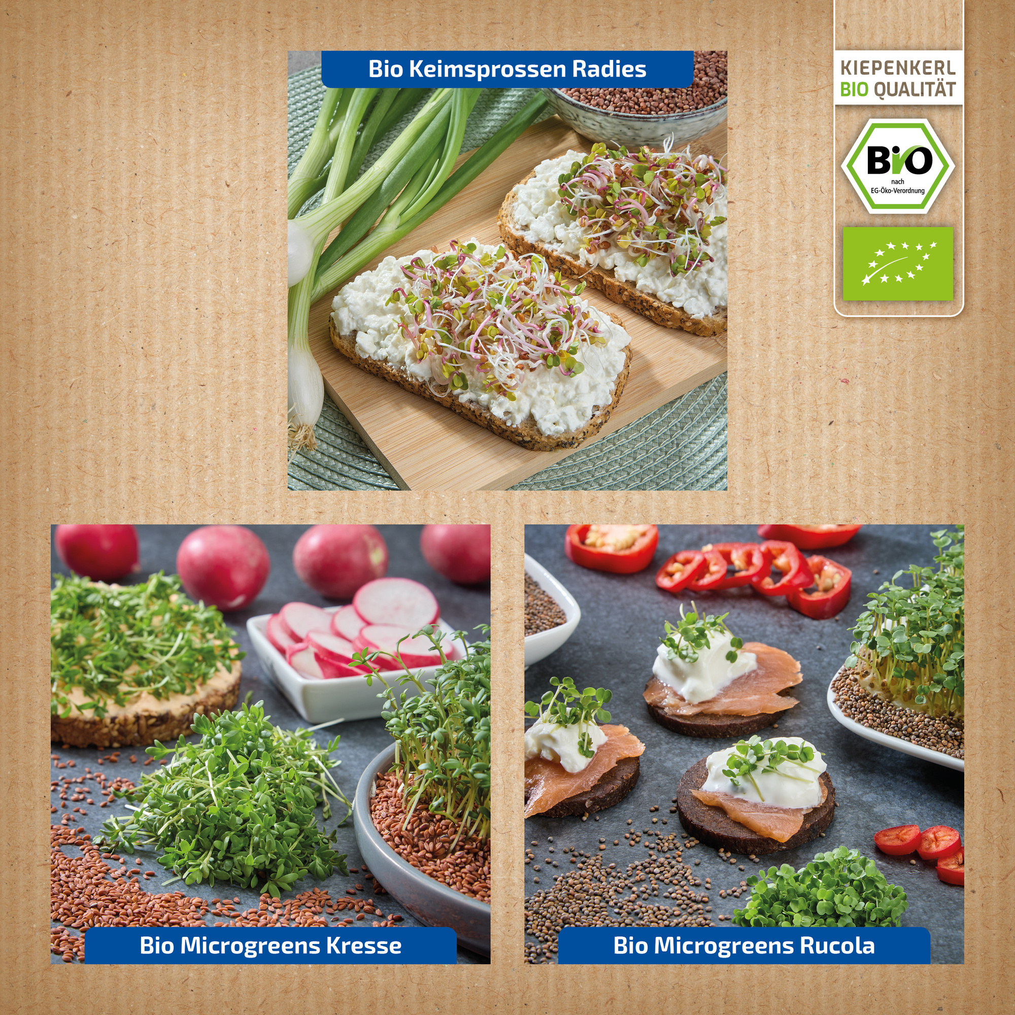 Verschiedene Bio Microgreens in Holzschalen, Radieschen, Kresse und Rucola auf Holzgrund.