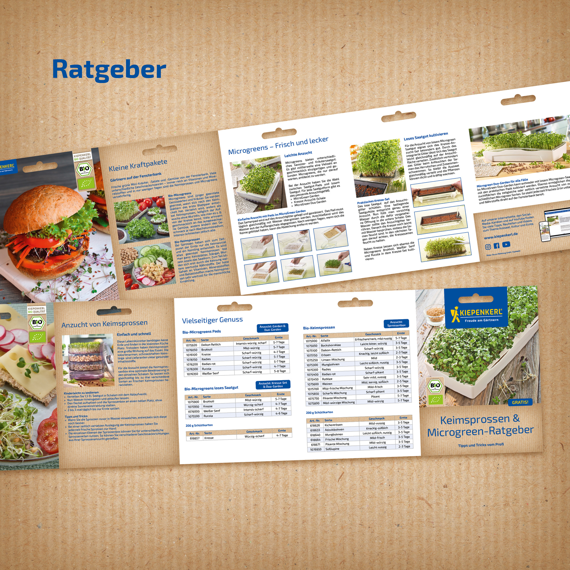 Informationsmaterial für Keimsprossen und Microgreens auf mehreren Seiten, vor Erde auf weißem Hintergrund.