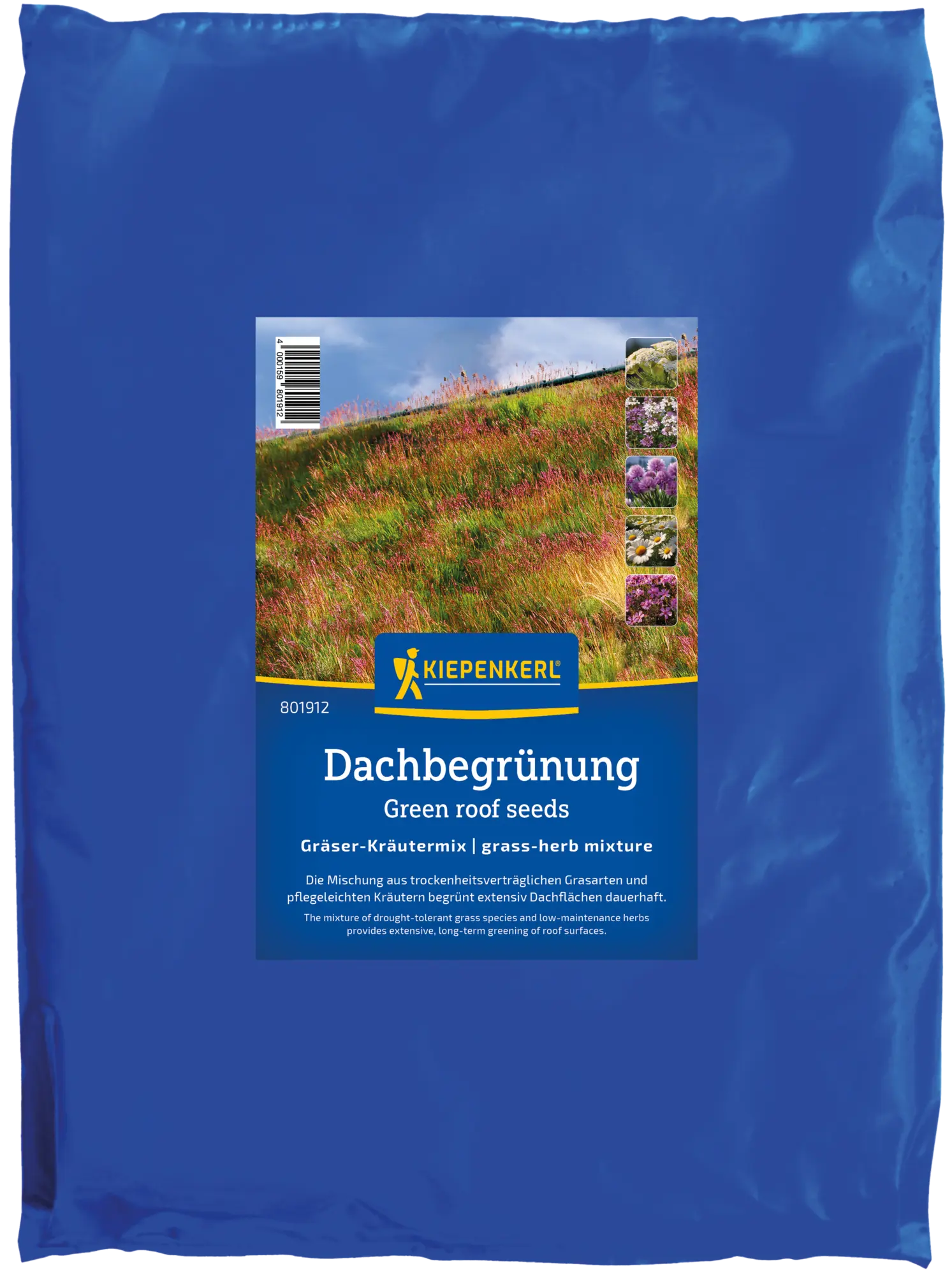 Dachbegrünung Gräser-Kräutermix, 1 kg, Rasensamen