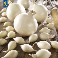 Weißer Knoblauch und Knoblauchzehen auf Holzbrett, mit Knoblauchstampfer rechts.