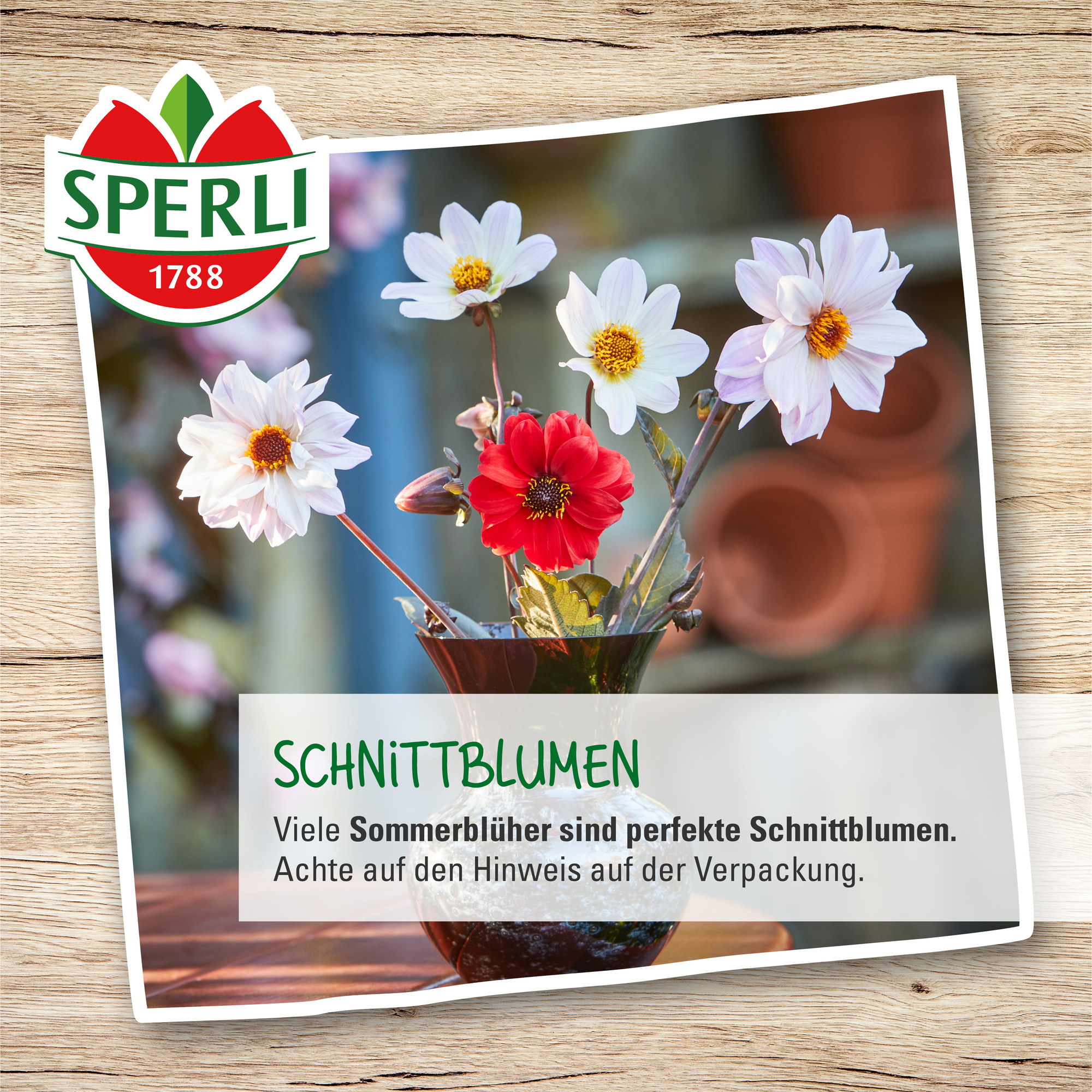 Schnittblumen mit weißen und roten Blüten in einer Vase, auf einem Holztisch.