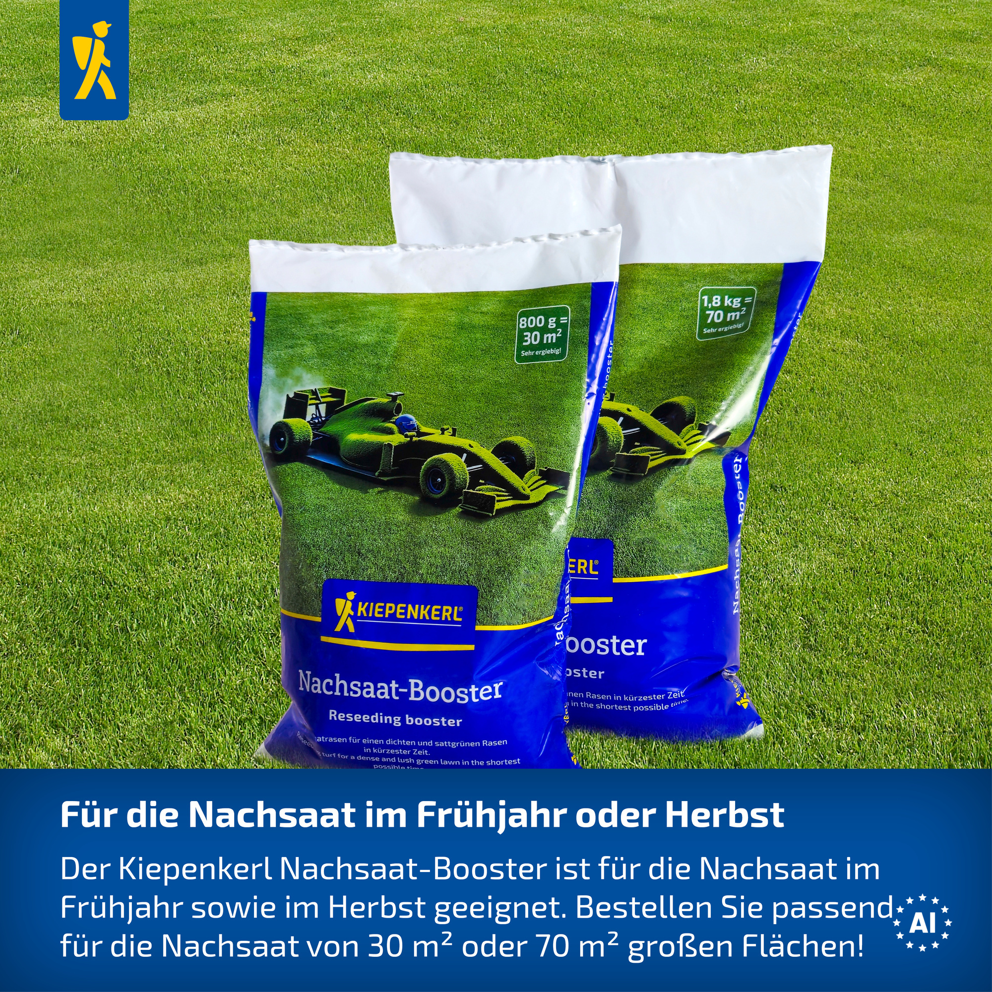 Kiepenkerl Rasen Nachsaat-Booster, 0,8 kg