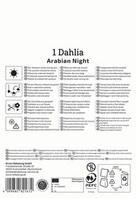 Pflege- und Pflanztipps für eine Dahlie, Symbole für Sonnenlicht, Wasser, Schneiden, Schnittblumen, Frostschutz.