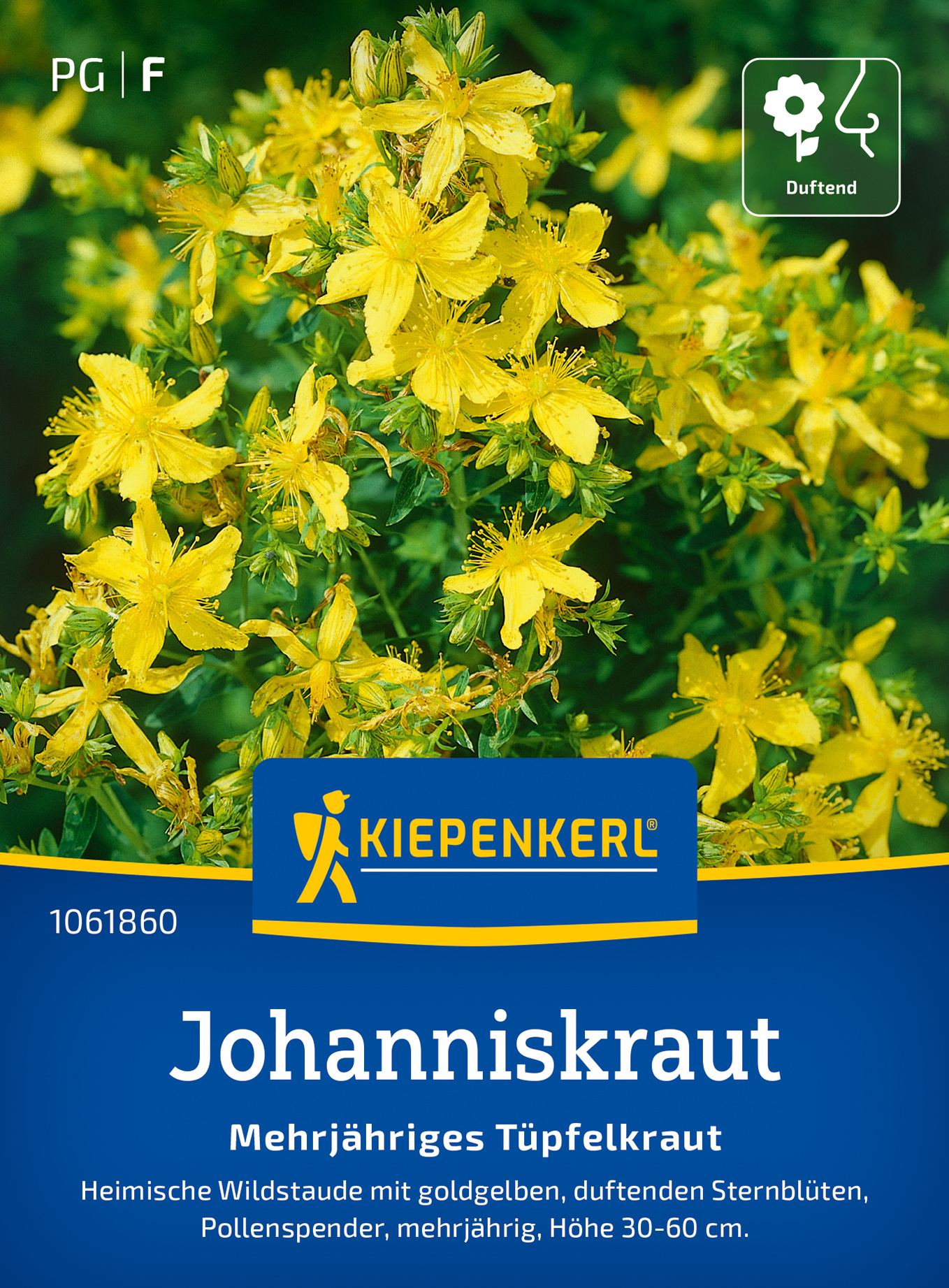 Johanniskrautsamen Mehrjähriges Tüpfelkraut