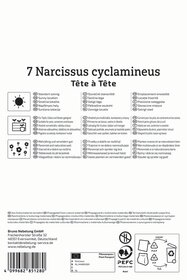 Alpenveilchen-Narzisse Tête à Tête