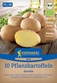 Mehrere ungekochte Gunda Drillinge mit glatter Schale und gelbem Fruchtfleisch, auf einem Holzuntergrund.