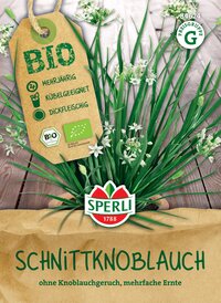 BIO Schnittknoblauchsamen