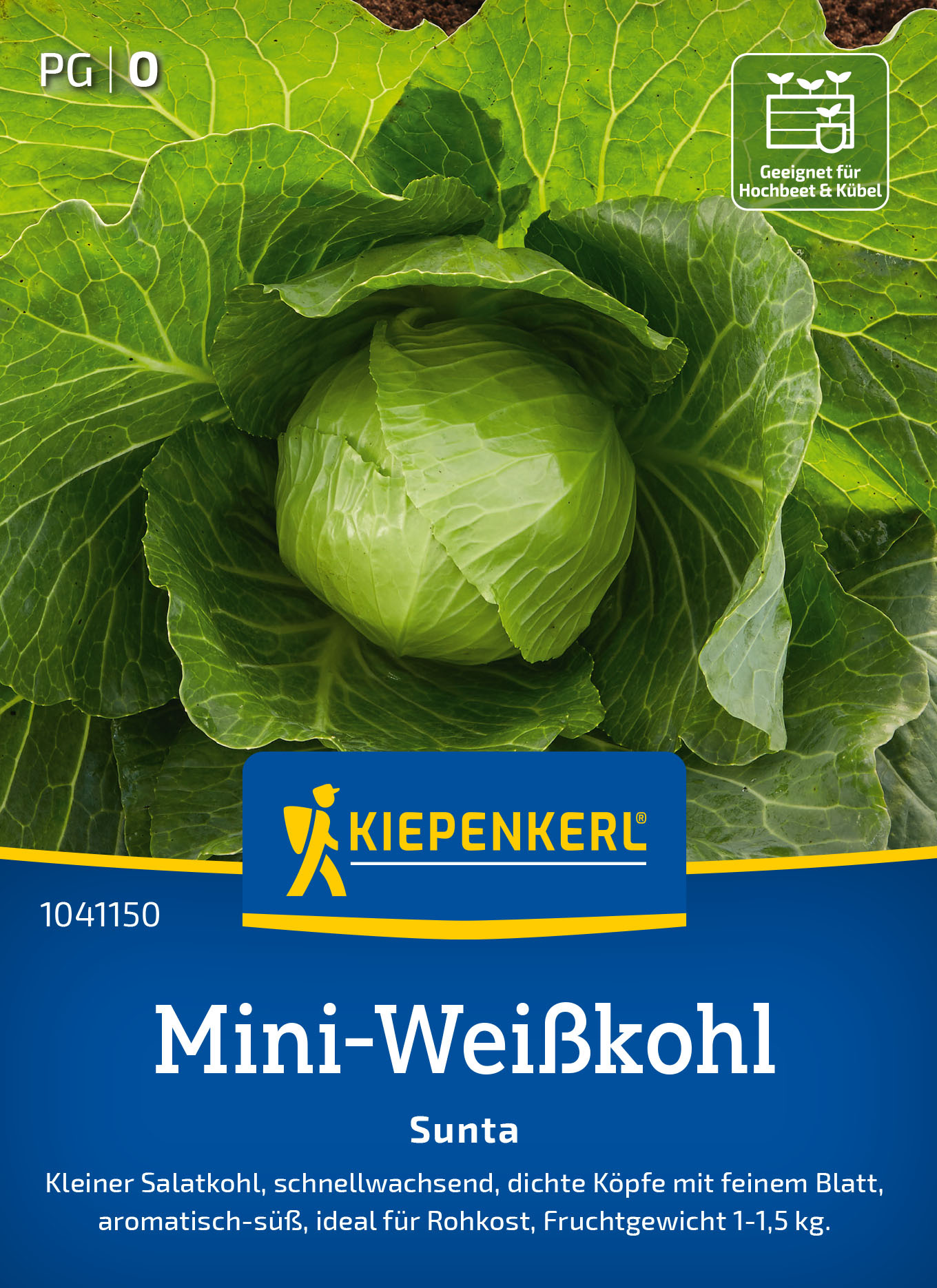 Weißkohlsamen Sunta, F1