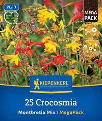 Bunt blühende Crocosmia-Pflanzen in rot, orange und gelb mit grünen Blättern im Hintergrund.