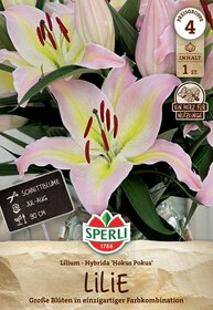 Geranienblüten in rosa und gelb, grüne Blätter, Produktetikett, Marke Sperli, Hinweis auf Blüte Juli-August, 90 cm hoch.