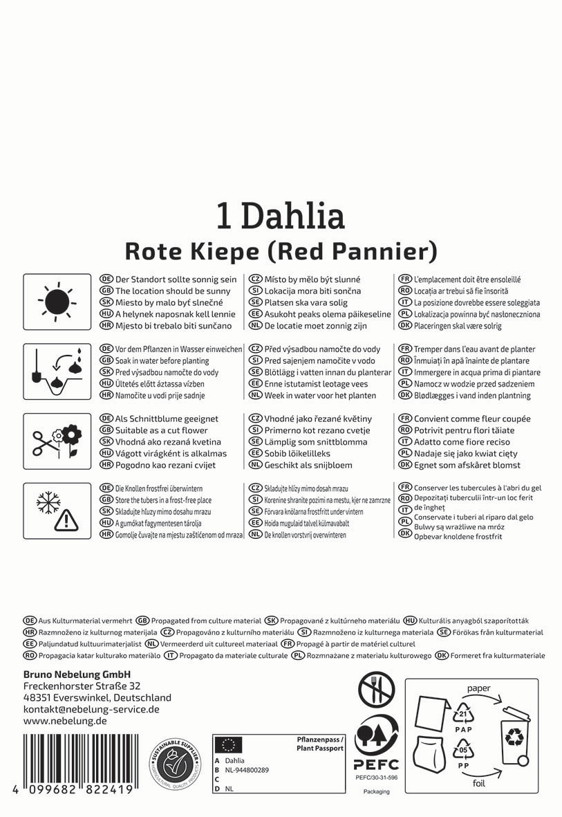 Anleitungstafel für Dahlia Rote Kieppe, Sonne, Wasser, Schneiden, Topf, Pflanze, Frostschutz, Kulturmaterial, Kontaktinformationen, Symbole.