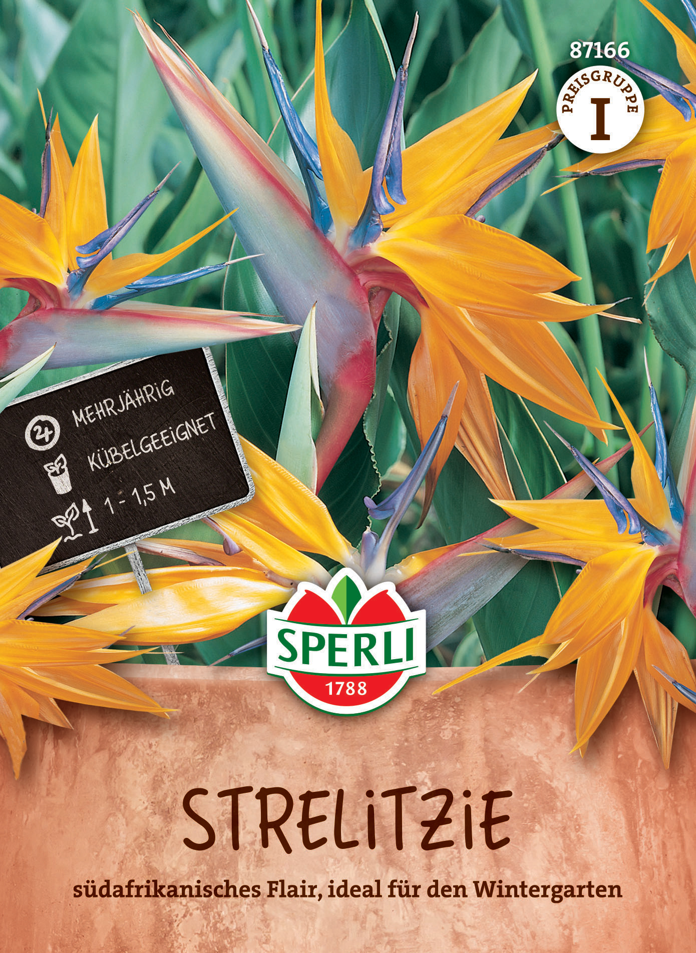 Strelitziensamen