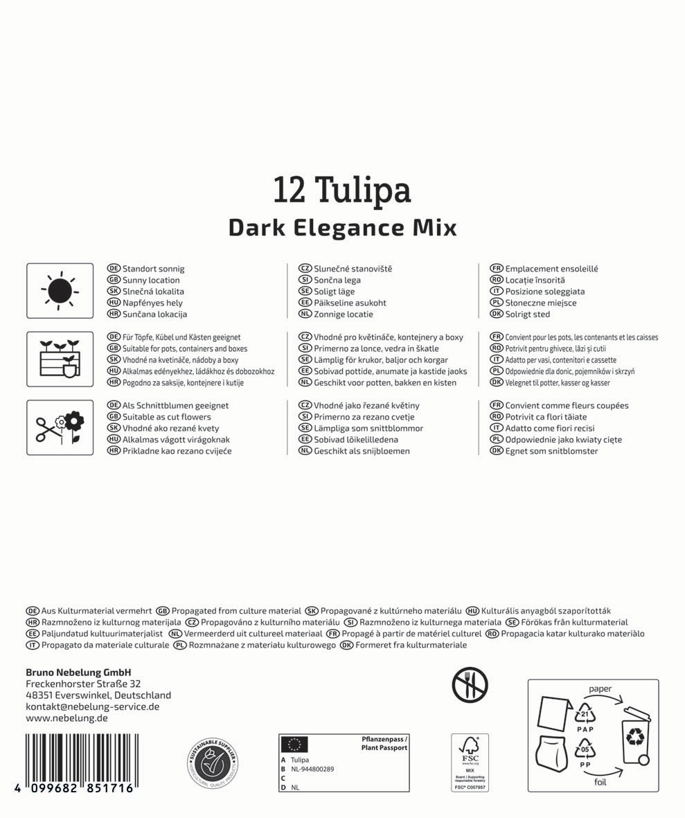 Mega-Pack Blumenzwiebelmischung Dark Elegance Mix