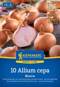 Runde Zwiebeln mit rosa Fleisch und fester Schale auf einer Holzplatte.