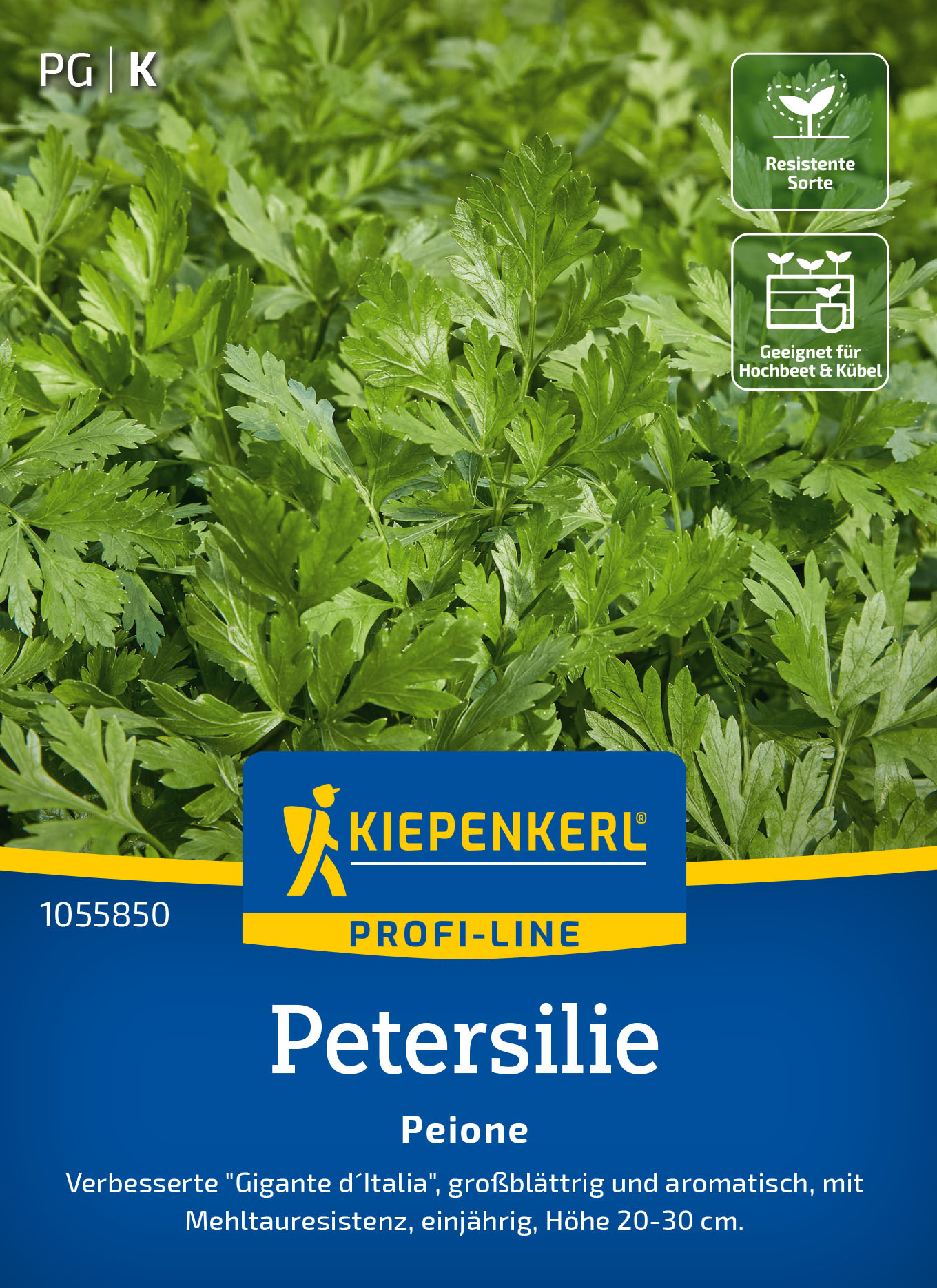Petersiliensamen Peione