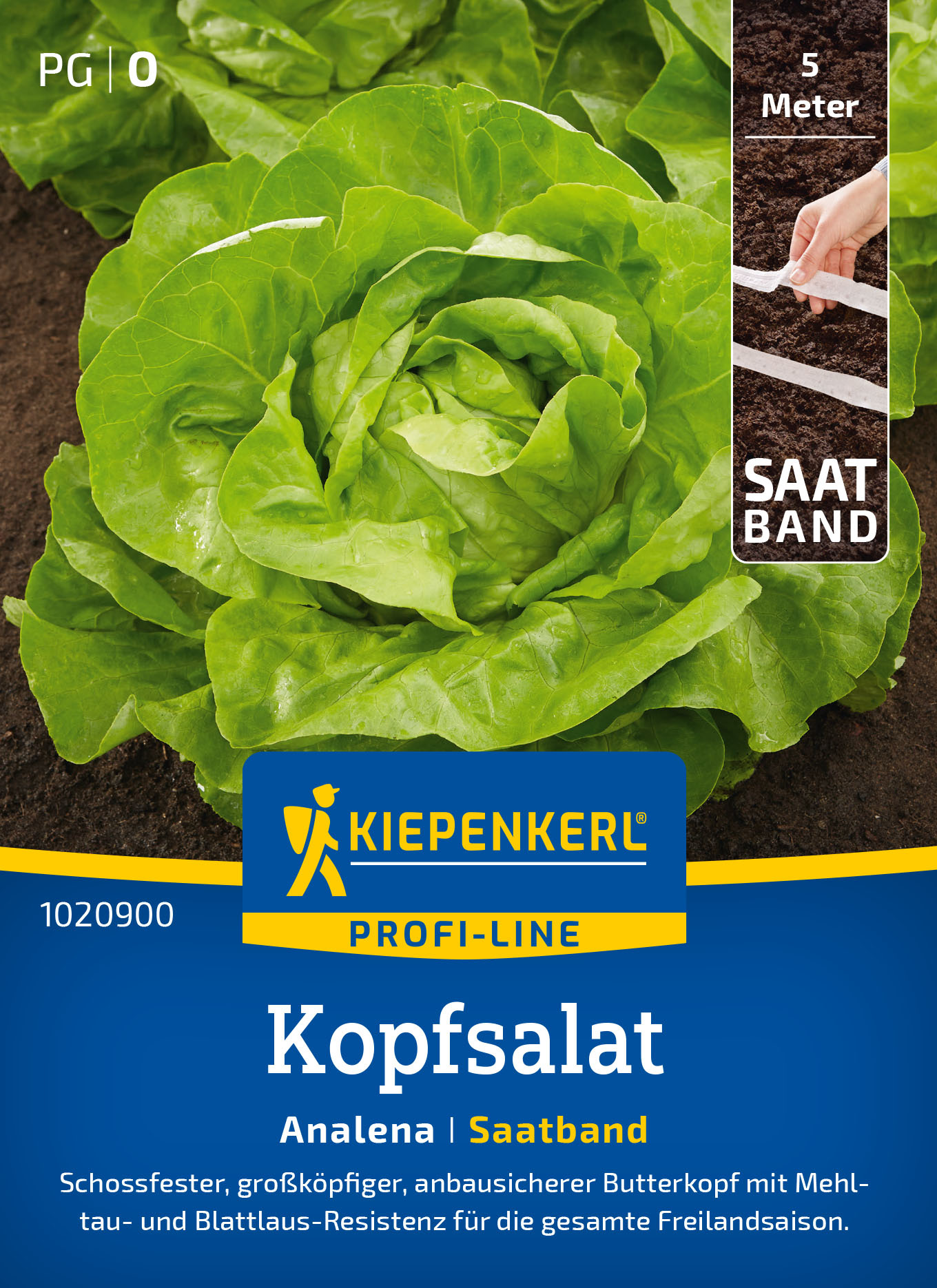 Kopfsalatsamen Analena, Saatband