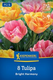 Tulpenmischung Bright Harmony