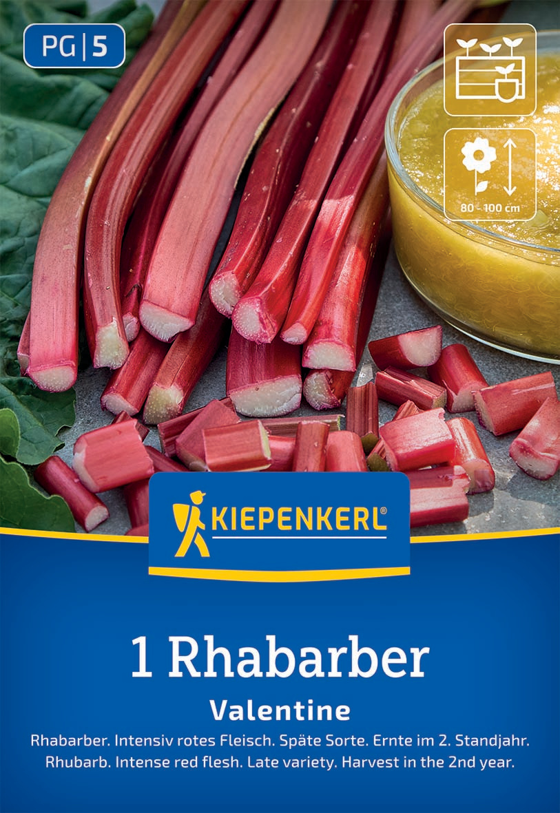 Rote Rhubarbstängel und Stücke neben einem Glas mit gelber Flüssigkeit, Verpackungsaufschrift mit Kiepenkerl-Logo.