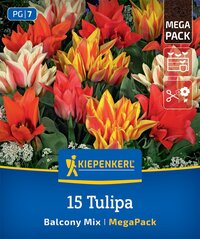 Mega-Pack Botanische Tulpen Balkonzauber Mischung