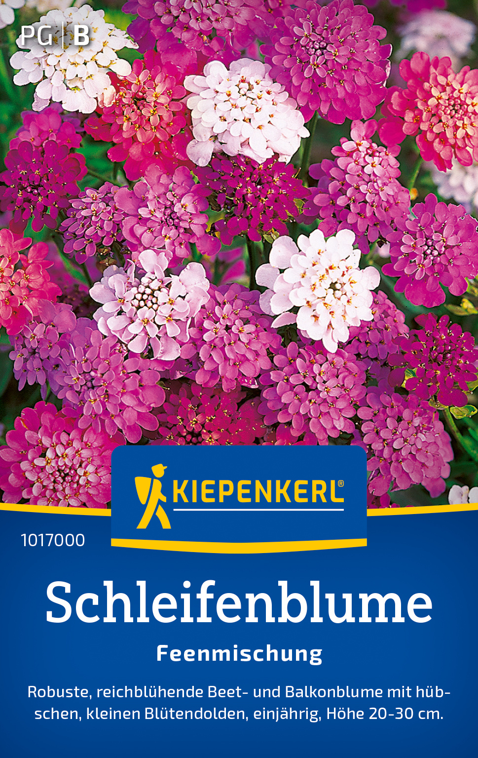 Schleifenblumesamen Feenmischung