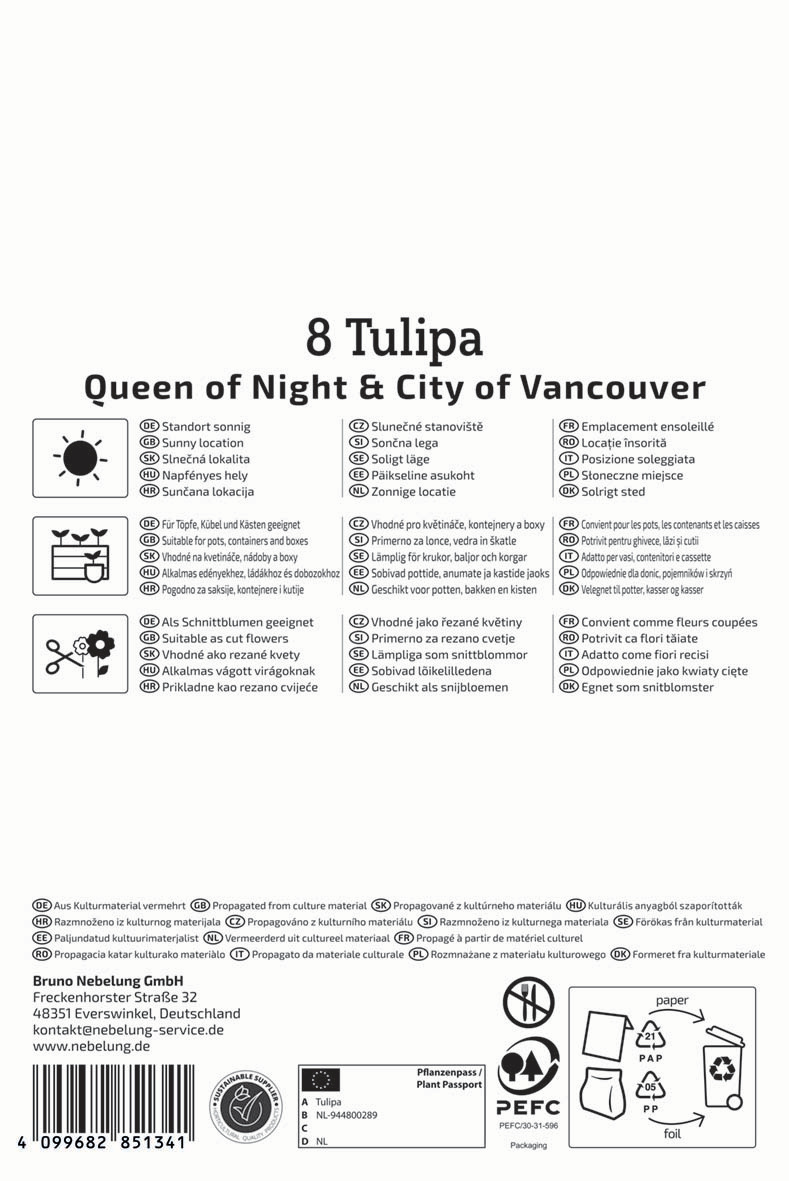 Tulpenmischung Day & Night Duo