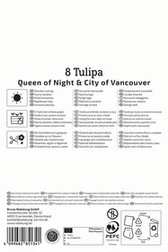 Tulpenmischung Day & Night Duo