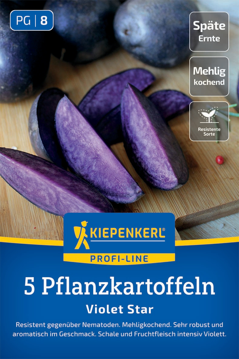 Pflanzkartoffel Violet Star, 5 Stück