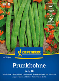 Prunkbohnensamen Lady Di