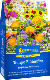 Blumensamen-Mischung Tempo Blütenflor