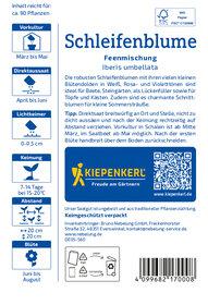 Schleifenblumesamen Feenmischung