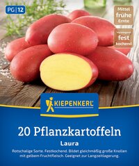 Haufen roter Pflanzkartoffeln mit einer halbierten Kartoffel vorne, auf Holztisch mit Salz im Hintergrund.