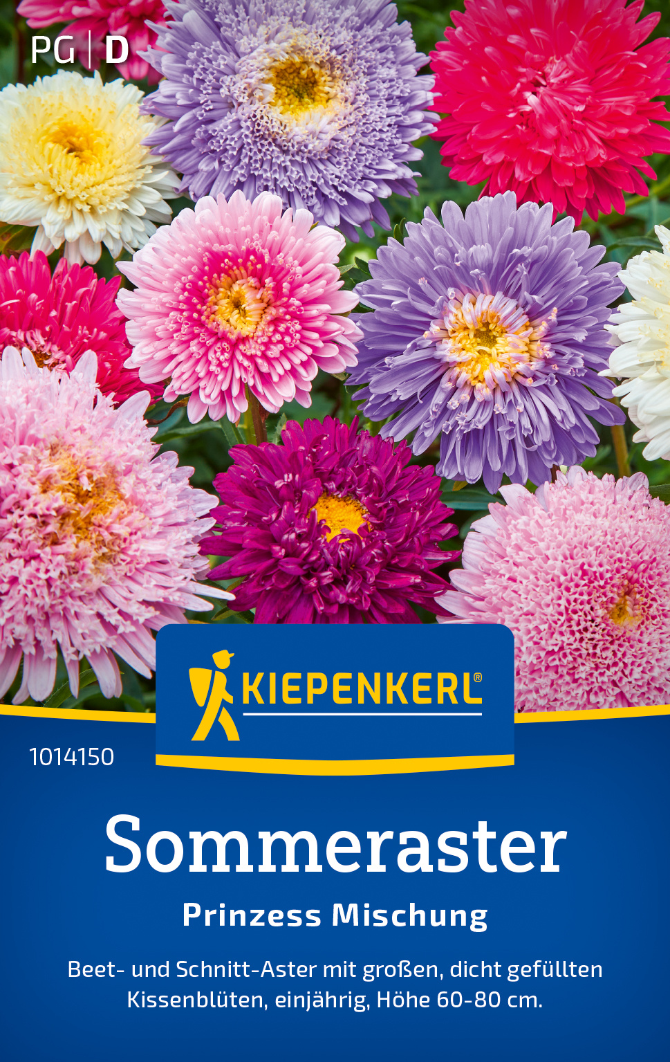 Sommerastersamen Prinzess Mischung