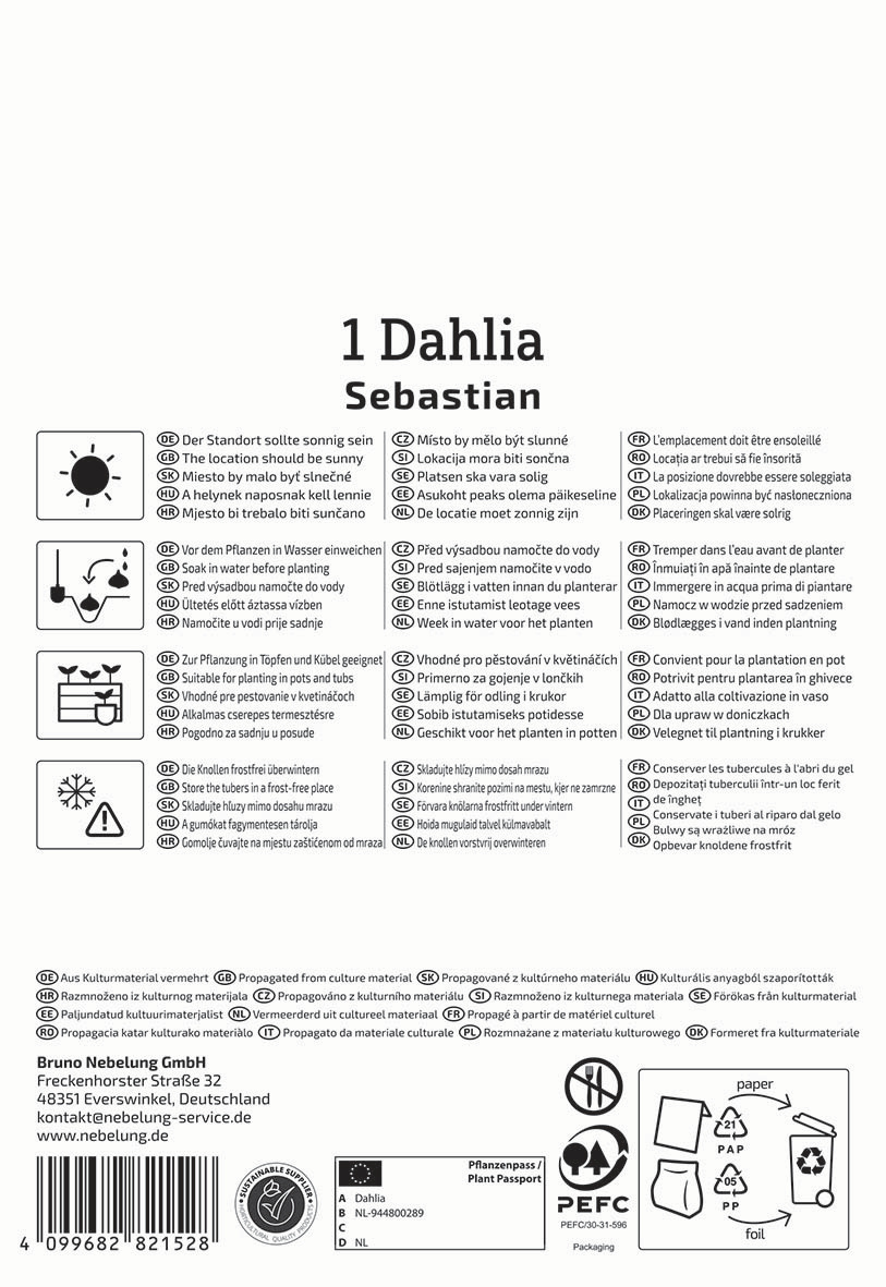 Pflegehinweise und Pflanzanleitung für Dahlia, Symbole reinigen, pflanzen, giessen, frostwächter, umweltfreundliche Verpackung.