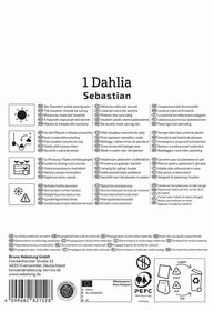 Pflegehinweise und Pflanzanleitung für Dahlia, Symbole reinigen, pflanzen, giessen, frostwächter, umweltfreundliche Verpackung.