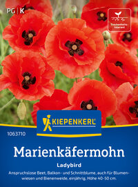 Marienkäfermohnsamen Ladybird