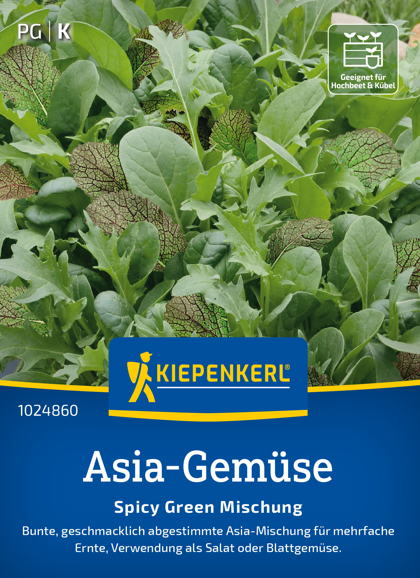 Asia-Gemüsesamen Spicy Green Mischung
