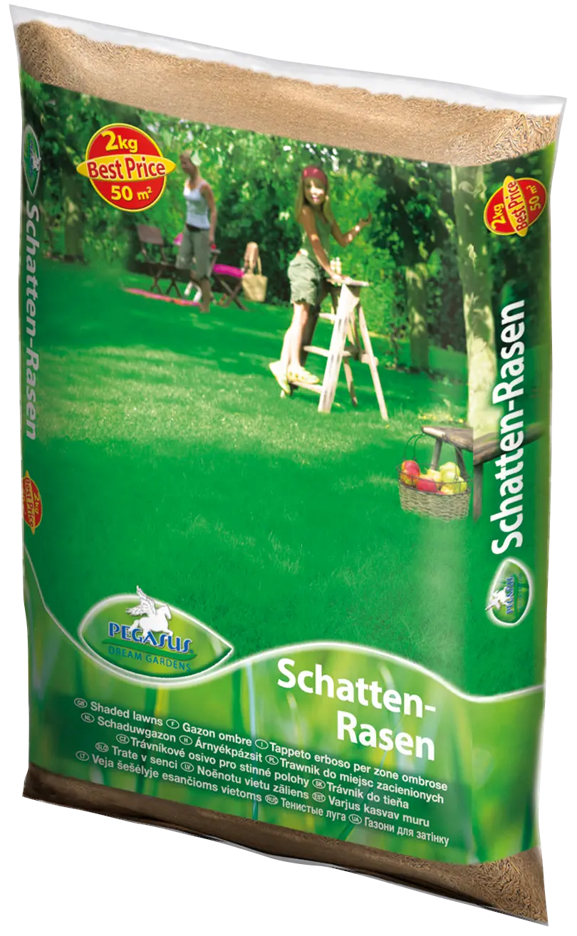Schatten-Rasensamen, 2 kg