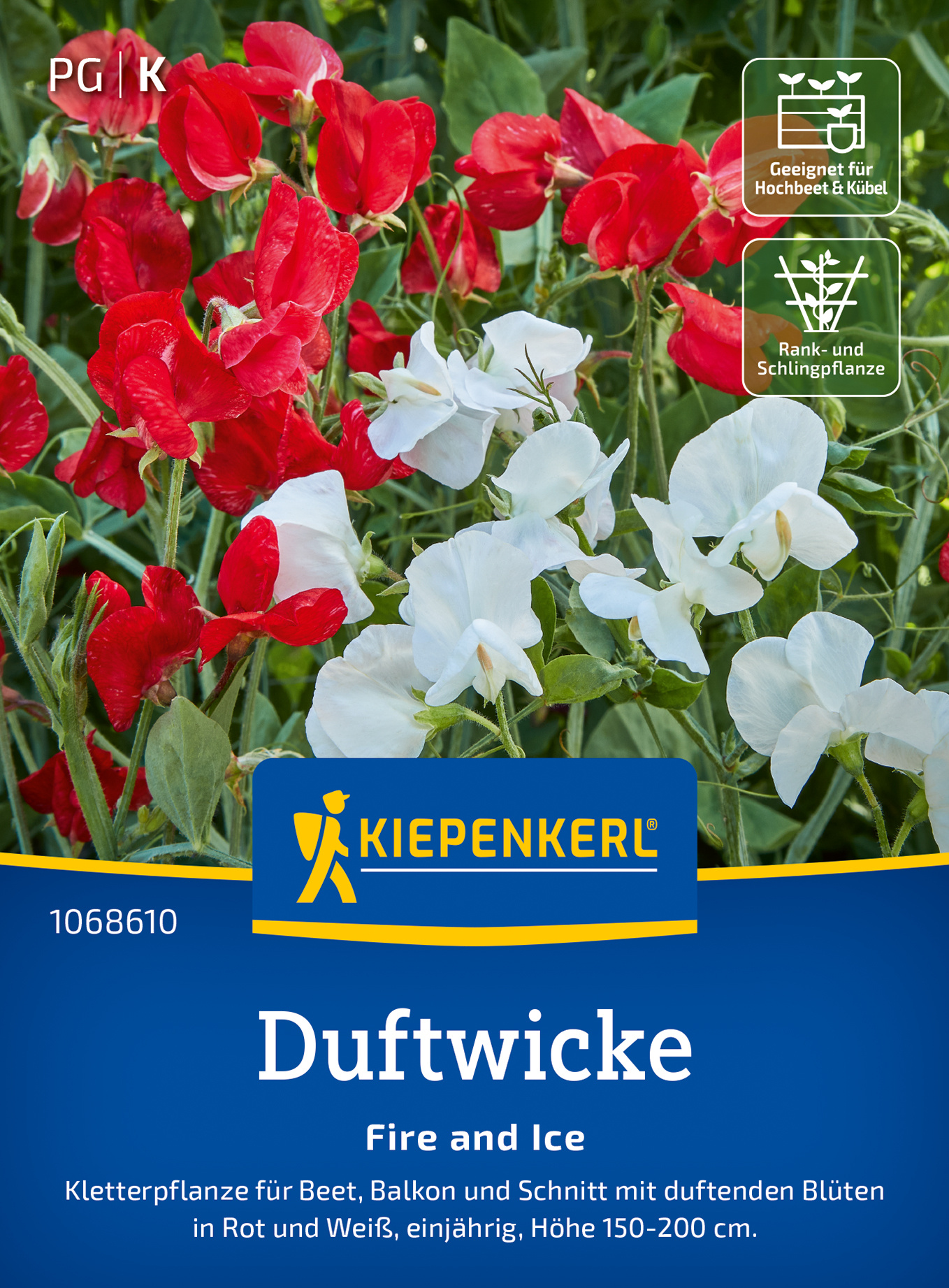 Duftwickensamen Fire and Ice