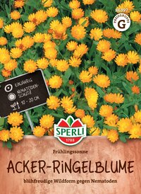 Acker-Ringelblumensamen Frühlingssonne
