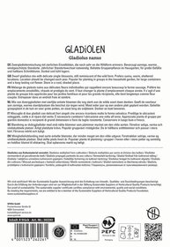 Text auf dem Bild beschreibt die Gladiolenzucht und Pflege in mehreren Sprachen.
