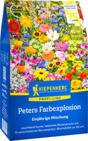 Blumenmischungsamen Peters Farbexplosion