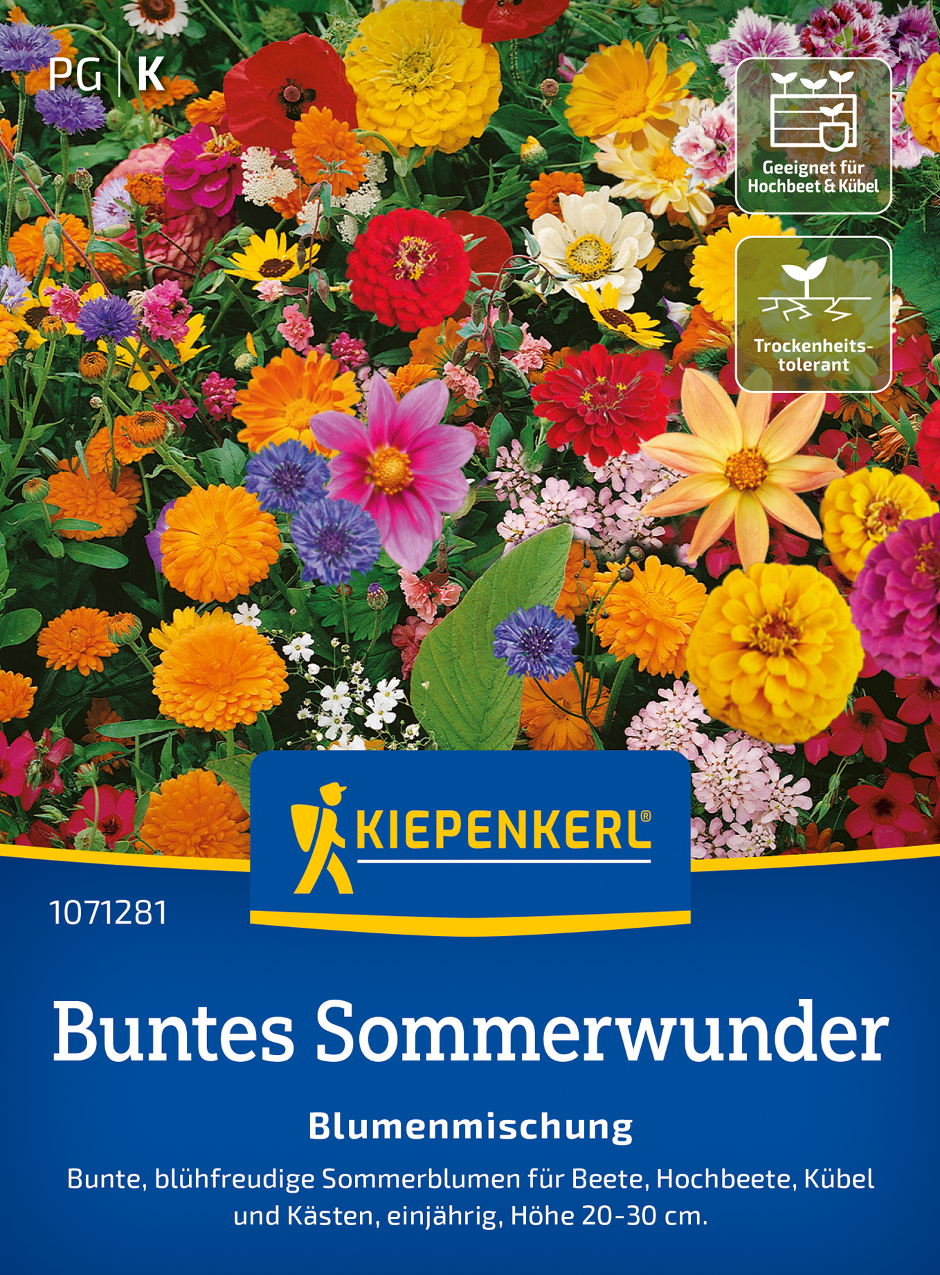 Blumensamen-Mischung Buntes Sommerwunder