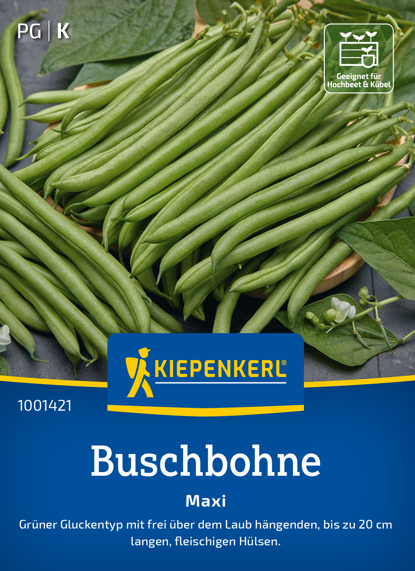 Buschbohnensamen Maxi